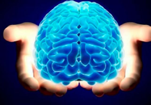 En Tokio crearon un test para saber si tu cerebro está saludable