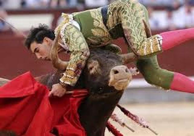 Jiménez Fortes  recibe la primera embestida. Luego caerá a la arena y sufrirá una cornada que lo depositará en el hospital. Está grave.