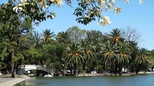 Más céntrico, el parque Independencia, ya ofrece circuitos autoguiados para apreciar algunas de las especies que le dan color.&nbsp;