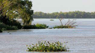 El periodista Norman Robson fue rescatado debajo de un árbol tras sufrir un accidente en el río Gualeguay.