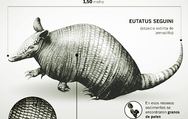 Dos investigadores hallan restos fósiles de más de 10 mil años