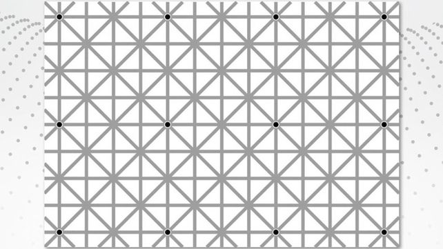 ¿Por qué no podés ver los 12 puntos al mismo tiempo?