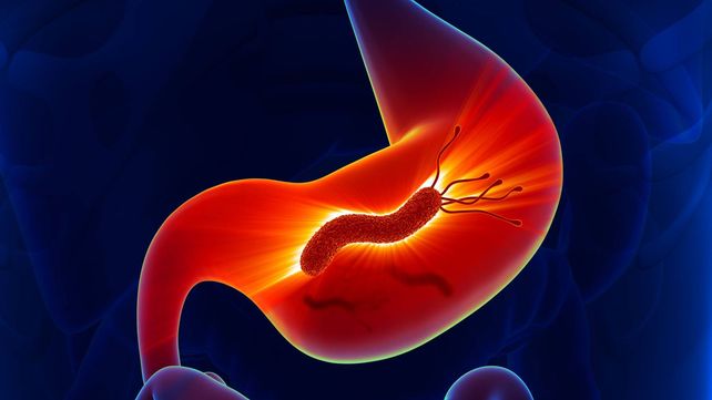 La bacteria Helicobacter Pylori. Afecta especialmente al sistema gástrico y puede generar enfermedades severas.&nbsp;