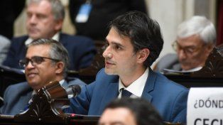 El diputado radical Juan Martín