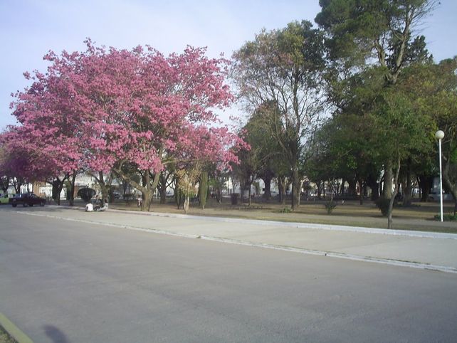 Preventiva para un hombre investigado por el abuso sexual de la hija de su pareja en Recreo