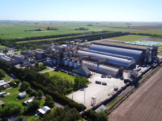 Aceitera Chabás cumple 50 años. Su moderna planta procesa 4.000 toneladas diarias de soja.