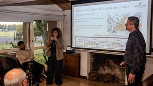 La nutrición de la soja, bajo la lupa: cómo mejorar los rindes y recuperar la calidad del grano