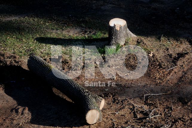 Siguen adelante los trabajos en el Parque Alberdi