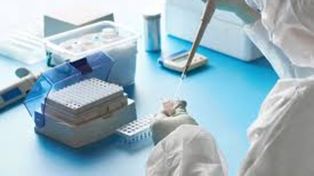 Murió un voluntario de la vacuna de Oxford al que le habrían dado un placebo