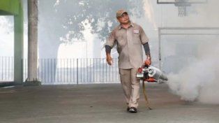 China ante una nueva epidemia de chikungunya