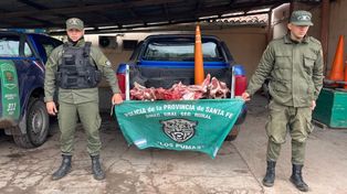 Detuvieron en Recreo a un cuatrero por robo y faenamiento clandestino de un novillo