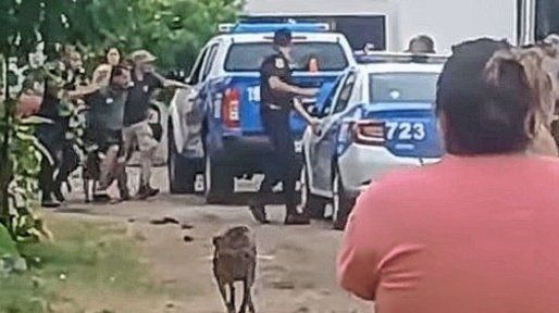 Gualeguay: luego de varias horas de búsqueda, detuvieron al sospechoso del femicidio