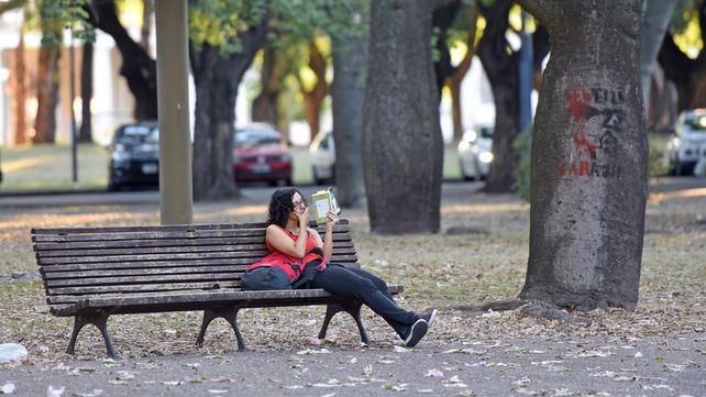 Cuando los libros atacan