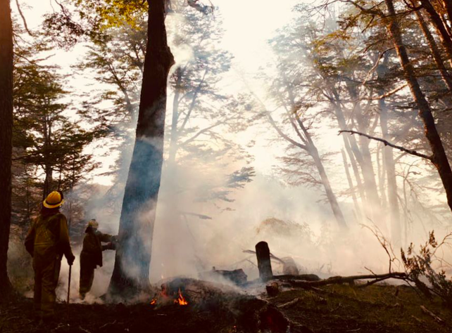 Brigadistas santafesinos le hacen frente a los incendios forestales en Chubut con ataque directo y tareas de contención