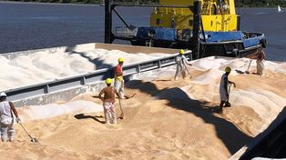Se cargaron más de 4800 toneladas de cereales en el Puerto de Santa Fe