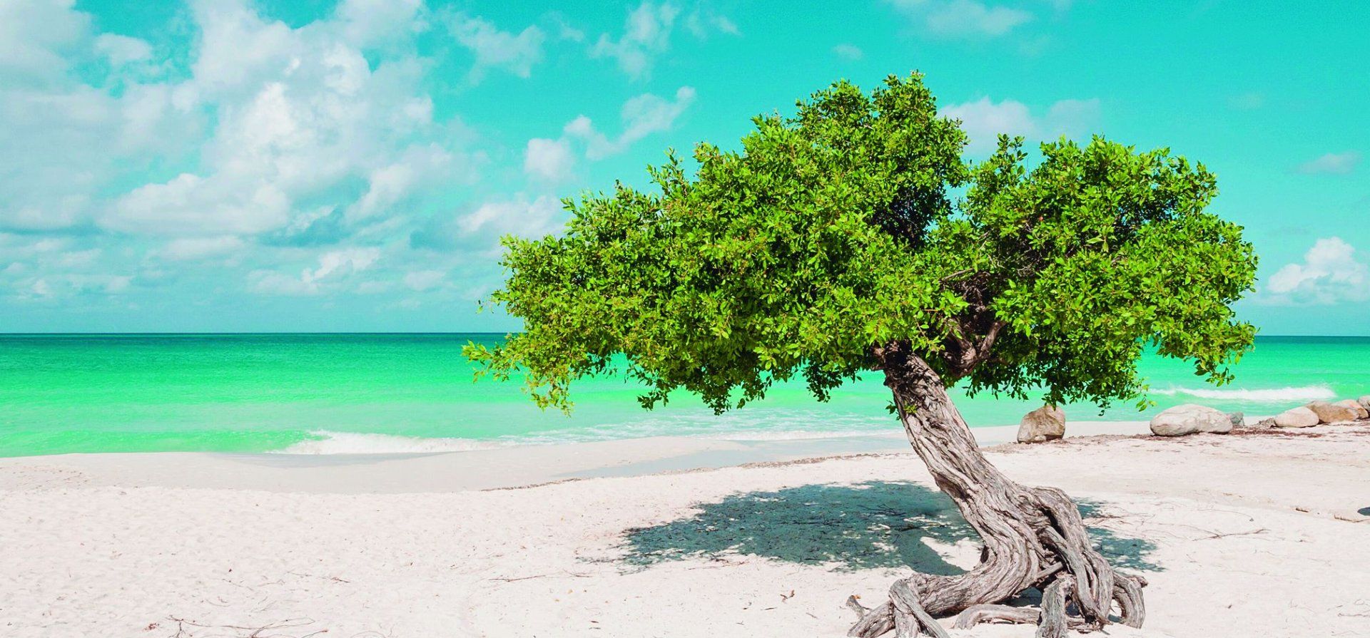 Eagle Beach, la postal más icónica del Caribe
