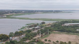 El fenómeno es mayor al que se había presentado en enero, ya que ahora cubre la laguna de lado a lado. Una especialista explicó el fenómeno.&nbsp;