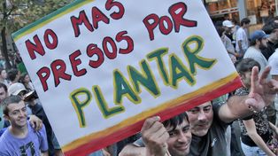 Avanza la despenalización de drogas para uso propio