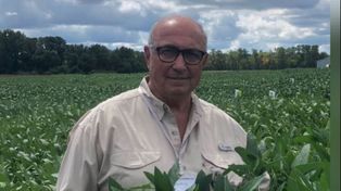 La nueva apuesta de la cadena de la soja argentina