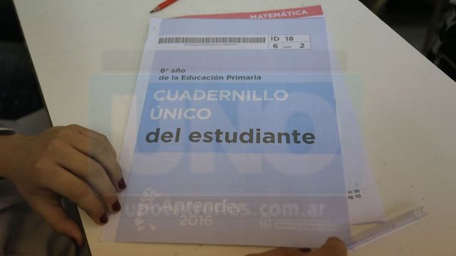 Operativo. Participaron chicos de escuelas públicas y privadas.
