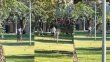 Indignación, bronca y pedido de seguridad en el Parque Federal. 