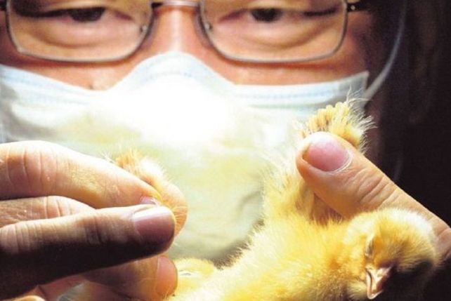 Un trabajo de 43.000 pesos al mes que nadie quiere hacer: ¿te animás?