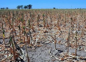 La Niña: Aseguran que es inminente el impacto del fenómeno en el país
