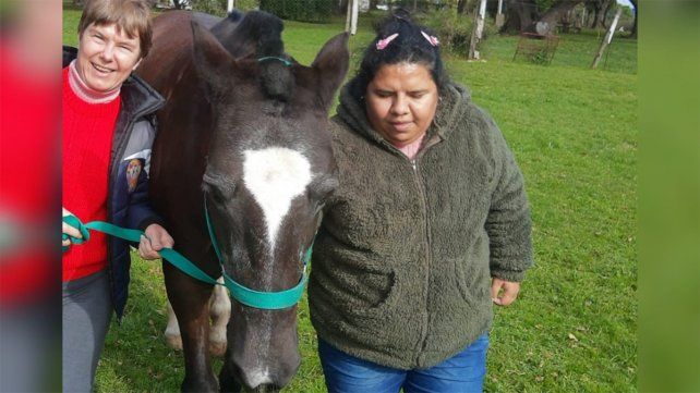 Don Uva: robaron una yegua utilizada para equinoterapia