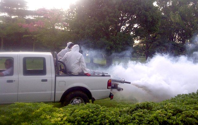 Confirman dos casos de dengue de rosarinos que viajaron a Brasil