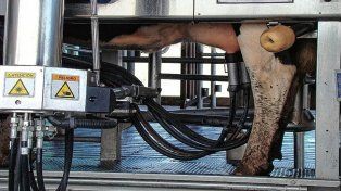Sorpresivo cierre de una fábrica de ordeñadoras en El Trébol