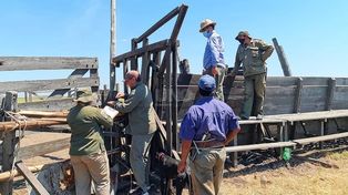 El procedimiento llevado a cabo por La Guardia Rural Los Pumas.