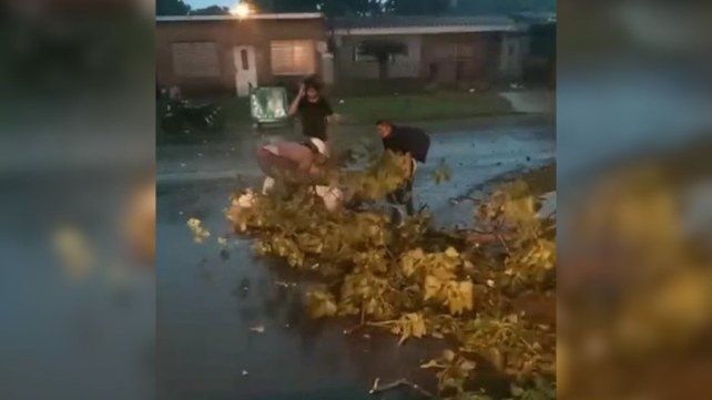 Una rama le cayó en la cabeza durante la tormenta y terminó internado en el Heca