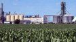 Biocombustibles: aseguran que el proyecto oficial amenaza a las pymes del sector en Santa Fe
