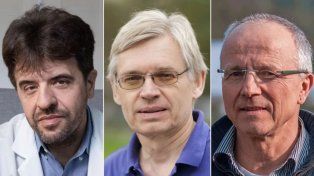 El Premio Nobel de Fisiología o Medicina 2026 para Karl Deisseroth, Peter Hegemann y Georg Nagel&nbsp;