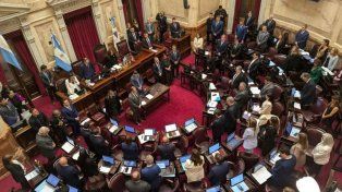 Salud Mental: el Senado aprobó la reforma y el proyecto ahora pasa a Diputados