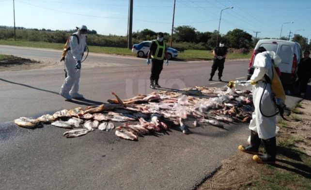 Pescaban surubíes a arponazos y palazos y los detuvieron