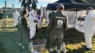Santa Fe. Exhumaron los restos de una mujer en el cementerio de Santa Fe para determinar si es hija de desaparecidos