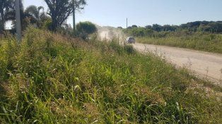 Más de 1.000 denuncias por terrenos baldíos abandonados en Paraná