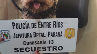 Se investiga el robo del animalito