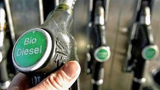 El biodiesel y el aumento en el corte.