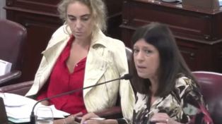La diputada Clara García volvió a pedir explicaciones sobre los fondos millonarios que Nación&nbsp; mandó a la provincia de Santa Fe para reforzar la seguridad.
