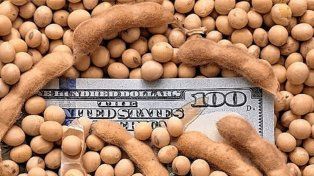 Los productores de soja siguen comercializando la oleaginosa