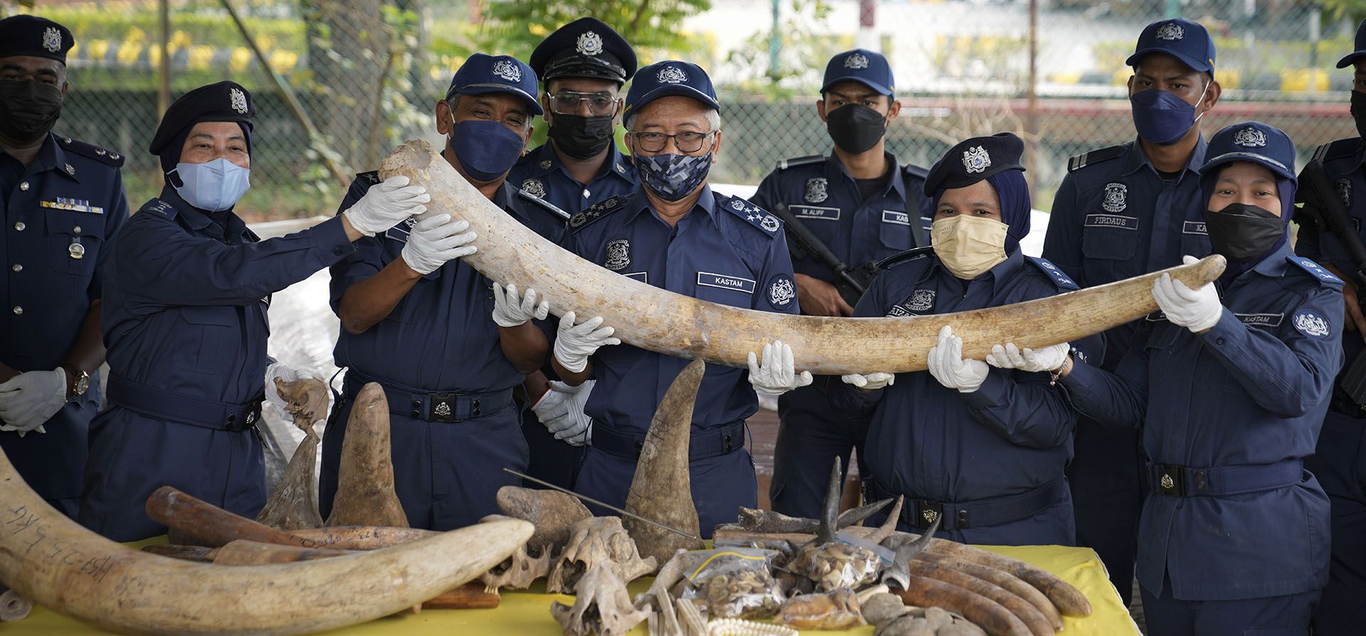 Las autoridades de Malasia dijeron el lunes que han incautado un contenedor proveniente de Africa con colmillos de elefante, escamas de pangolín y otros cráneos y huesos de animales cuyo valor se estima en 18 millones de dólares.