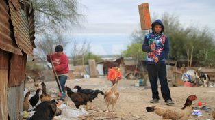 Votar con el bolsillo
