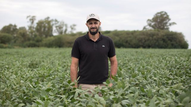 No solo redujimos costos sino también evitamos fitotoxicidades si hubiésemos tenido que aplicar herbicidas más de una vez en el lote de soja”