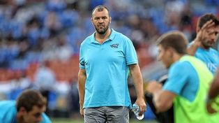 Michael Cheika será el nuevo entrenador de Los Pumas