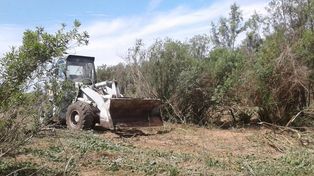 La denuncia de la entidad ambiental surgió en medio de la crisis por los incendios en las islas.