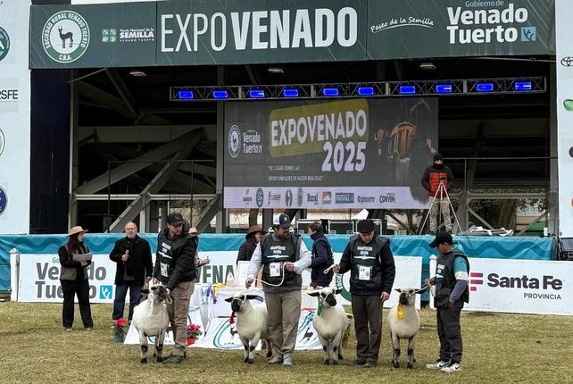 Reconocimiento a los productores de ovinos de Hampshire Down en la ExpoVenado 2025