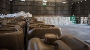Crece la recuperación de envases vacíos de fitosanitarios