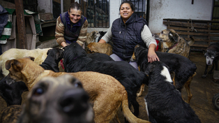 Graciela y Micaela, parte del equipo de más de diez personas que colabora y mantiene el refugio de mascotas Amigos de los perritos de Graciela.
